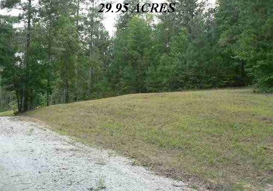 304 Bay Hill Dr