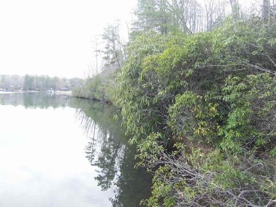121 W Waters Edge Ln