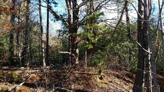 Lot 4 Linn Garden Way