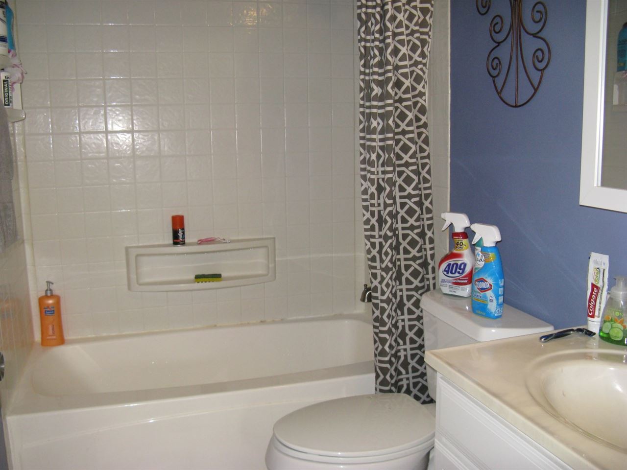 219LUFKIN DRIVE, Williamston, SC 29697