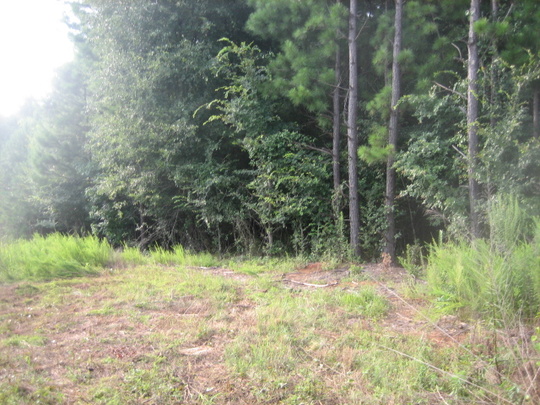 00 Midway Road
