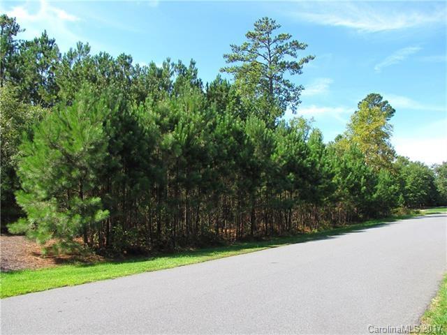 445 Terrapin Lane, Clover, SC 29710