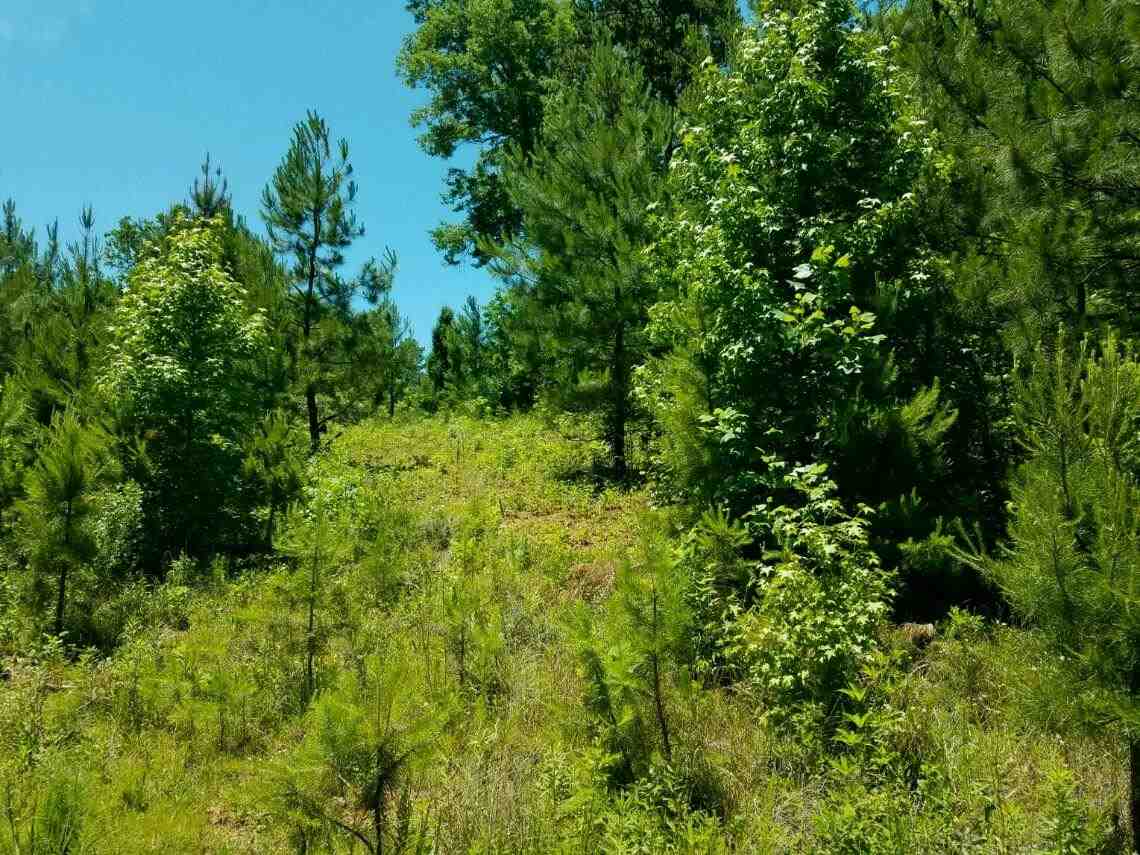 271 Scottish Highland Road, Lake Wylie, SC 29710