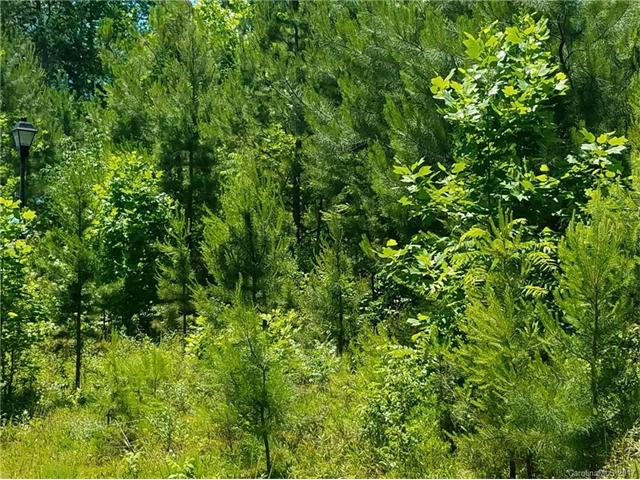 271 Scottish Highland Road, Lake Wylie, SC 29710
