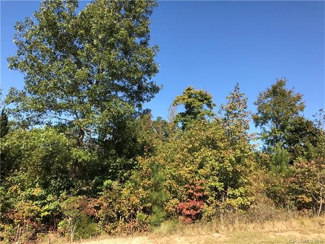 1720 White Fawn Ln, Rock Hill, SC 29730