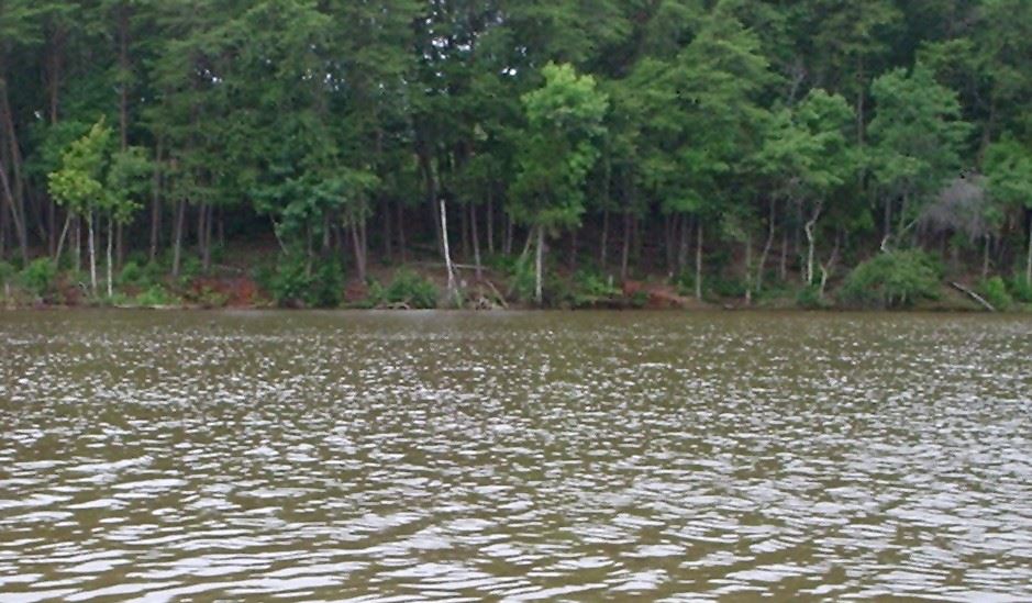 1720 White Fawn Ln, Rock Hill, SC 29730