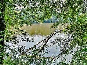 1720 White Fawn Ln, Rock Hill, SC 29730