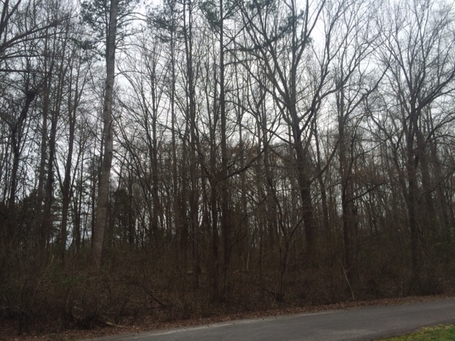 0 Education Lane, York, SC 29745