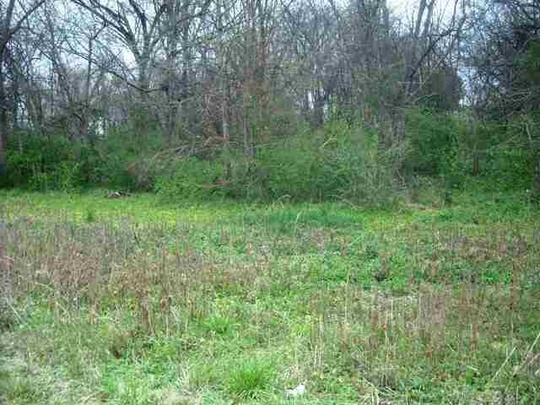 1954 Hwy 161