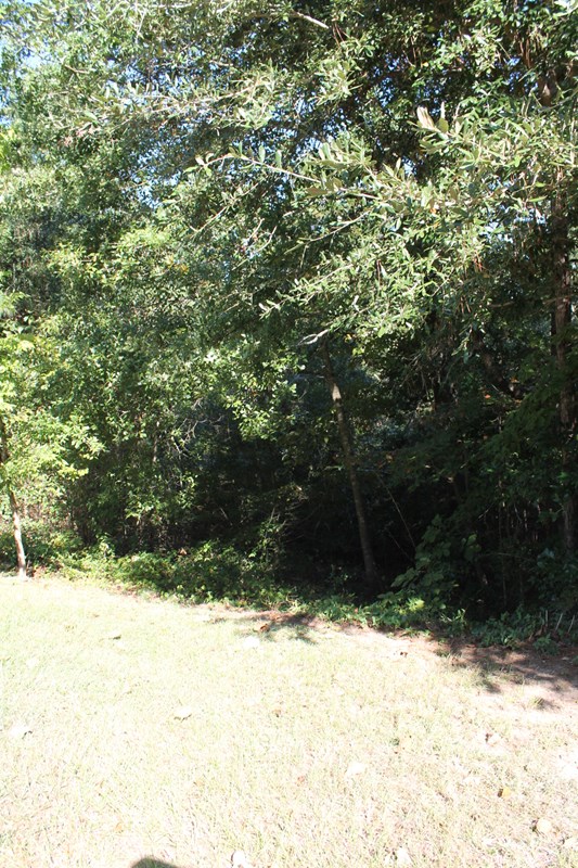 168 Chardonnay Ln., Aiken, SC 29802