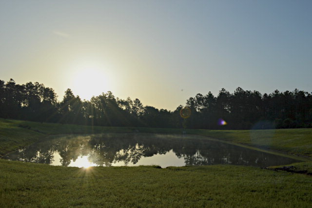 LT 3 HELMSDALE DR, Aiken, SC 29803