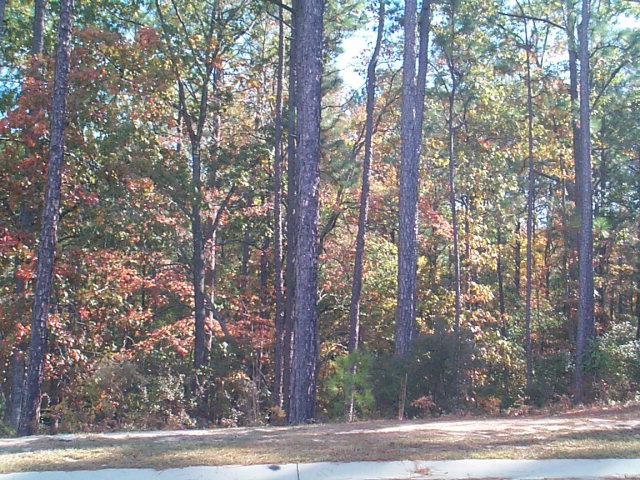 000 White Birch, Aiken, SC 29803
