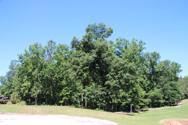 587 Maidstone Way, Aiken, SC 29803