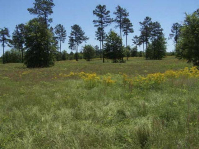 LOT 20 CEDAR RIDGE DRIVE, Aiken, SC 29803