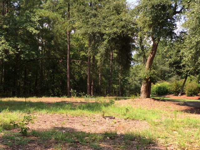 001 Wild Oaks Lane, Aiken, SC 29803