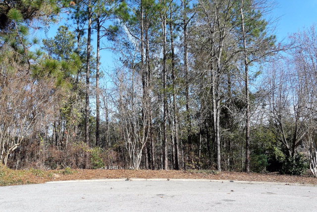 0 Wax Myrtle, Aiken, SC 29803
