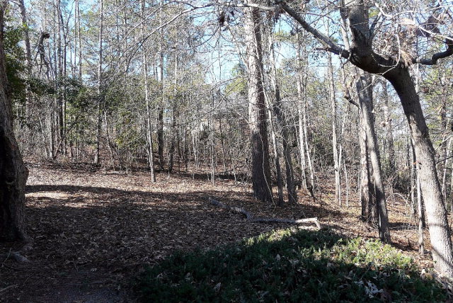 0 Wax Myrtle, Aiken, SC 29803