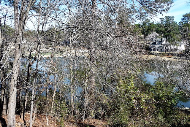 0 Wax Myrtle, Aiken, SC 29803