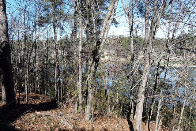 0 Wax Myrtle, Aiken, SC 29803