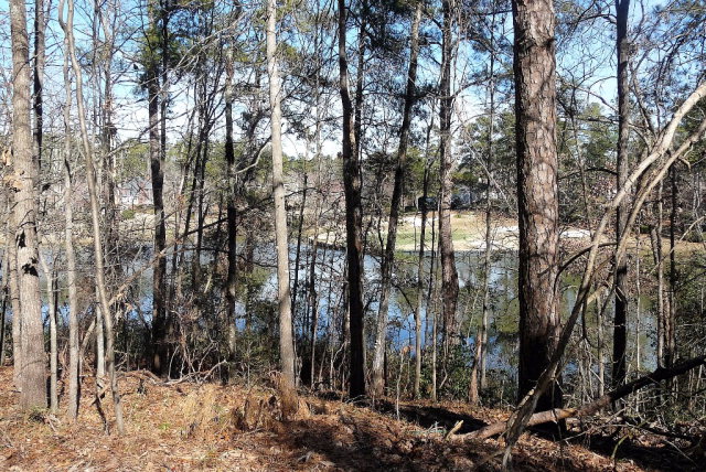 0 Wax Myrtle, Aiken, SC 29803