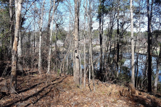 0 Wax Myrtle, Aiken, SC 29803