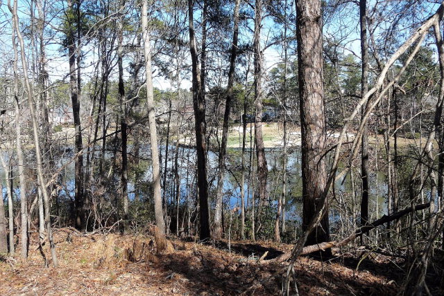 0 Wax Myrtle, Aiken, SC 29803