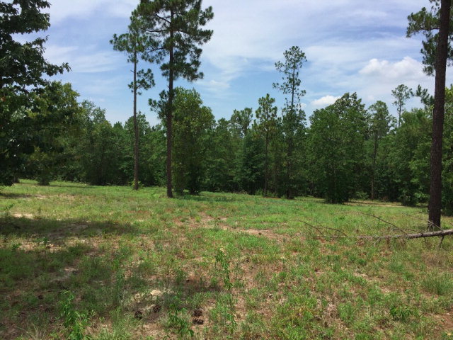 lot 10a Dasher Circle, Aiken, SC 29803
