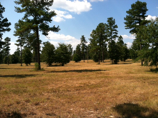 lot43ph6 Bayboro Circle, Aiken, SC 29803