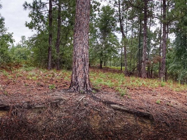 567 West Pleasant Colony Drive, Aiken, SC 29803