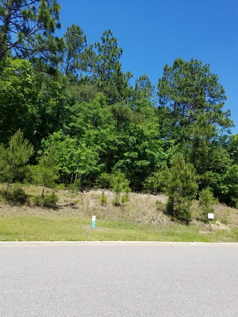 250 Golden Oak Drive, Aiken, SC 29803
