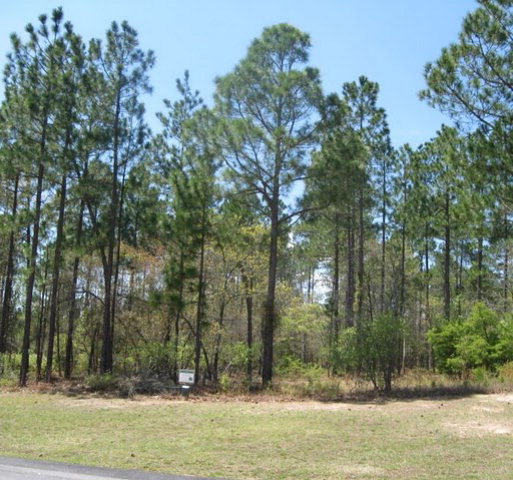 AA-3 Club Drive & Walton Heath Way, Aiken, SC 29803