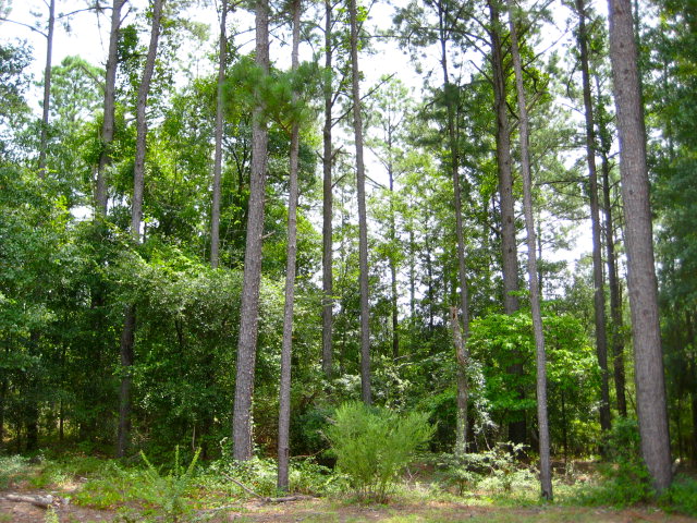 320 Merrifield Court, Aiken, SC 29803