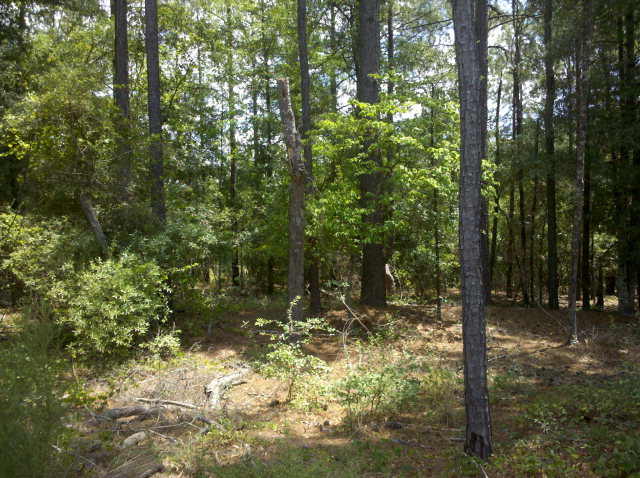 320 Merrifield Court, Aiken, SC 29803
