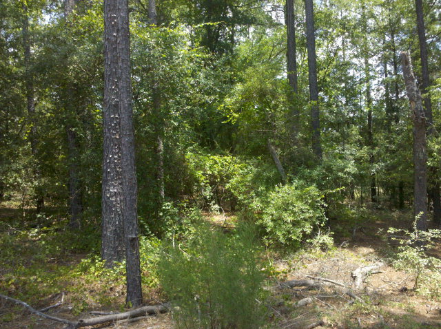 320 Merrifield Court, Aiken, SC 29803