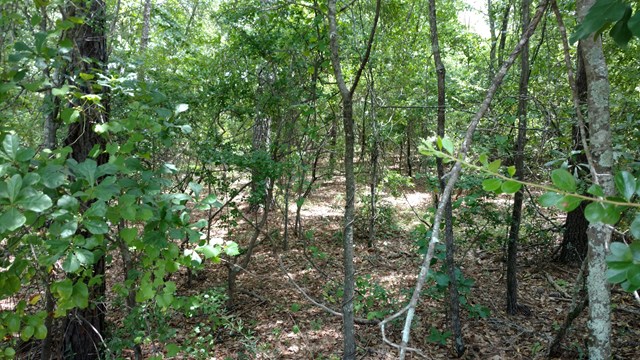 818 Pembrook Ct, Aiken, SC 29803
