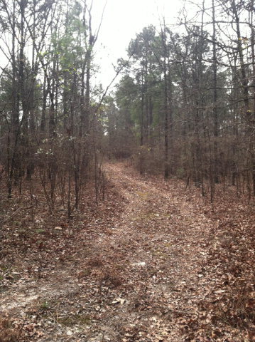 0001 Off Good Springs Road, Aiken, SC 29803