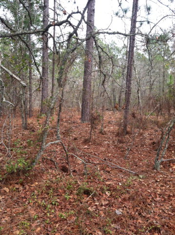 0001 Off Good Springs Road, Aiken, SC 29803
