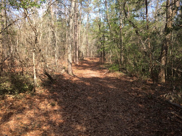 0001 Off Good Springs Road, Aiken, SC 29803