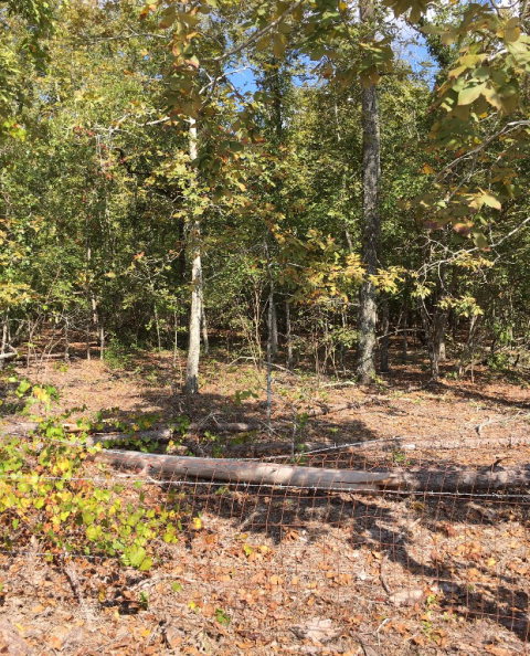 00 Joyner Pond Road, Aiken, SC 29805