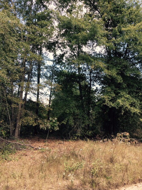 00 Joyner Pond Road, Aiken, SC 29805