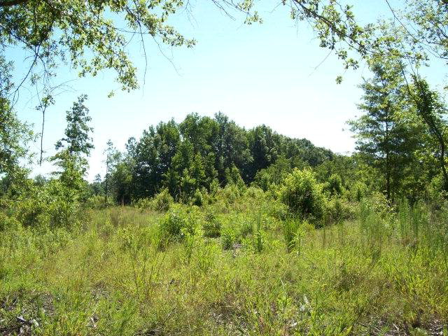 0 Fieldcrest Road, Barnwell, SC 29812