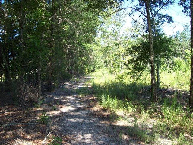 0 Fieldcrest Road, Barnwell, SC 29812
