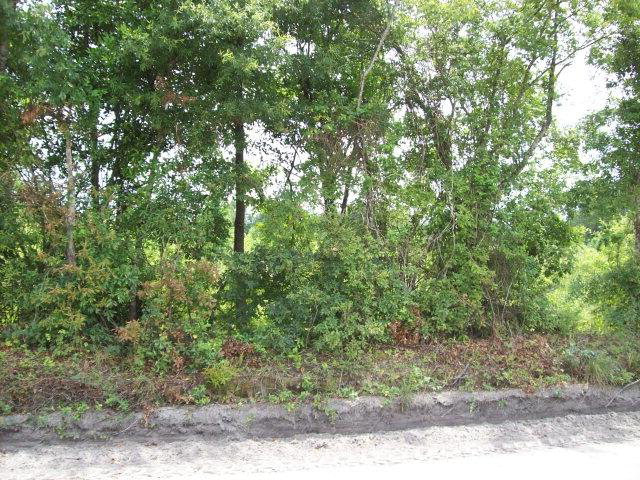 0 Fieldcrest Road, Barnwell, SC 29812