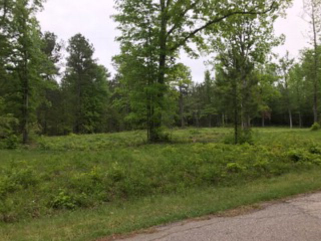 1 Woodridge Rd, Edgefield, SC 29824