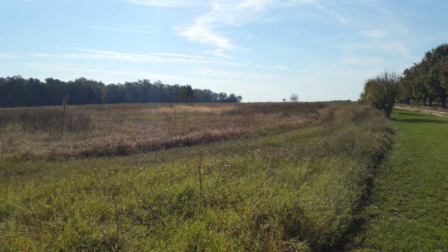40 Franklin Road, Johnston, SC 29832