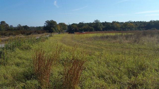 40 Franklin Road, Johnston, SC 29832