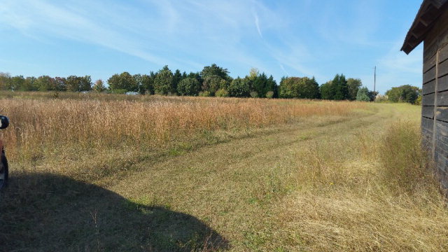 40 Franklin Road, Johnston, SC 29832