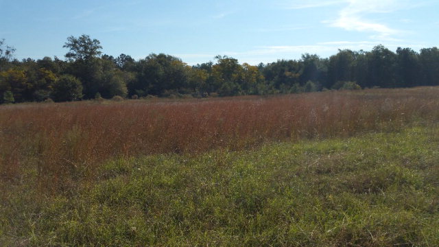 40 Franklin Road, Johnston, SC 29832