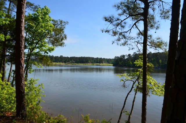 Lot 14, Block 4Faveran Lane, McCormick, SC 29835