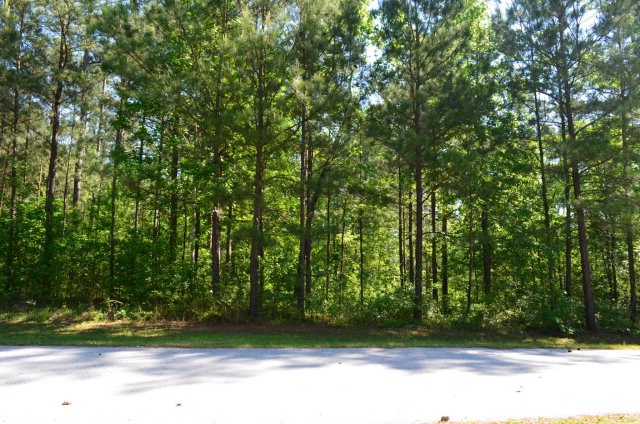 Lot 14, Block 4Faveran Lane, McCormick, SC 29835